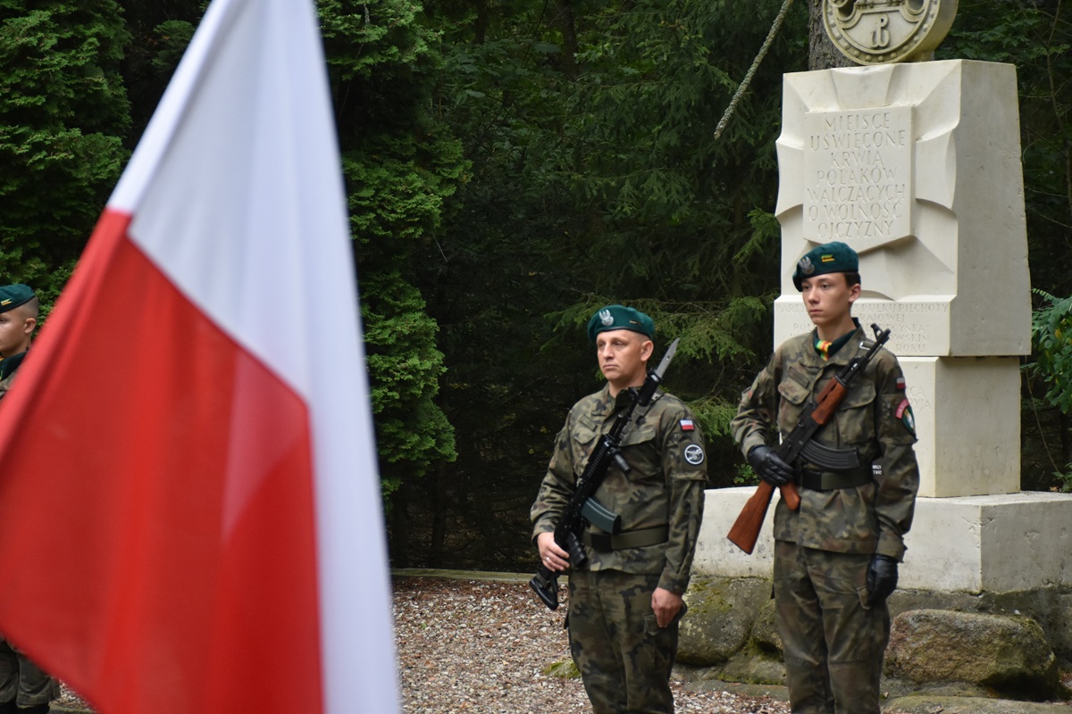 DSC_4473.JPG (330 KB)