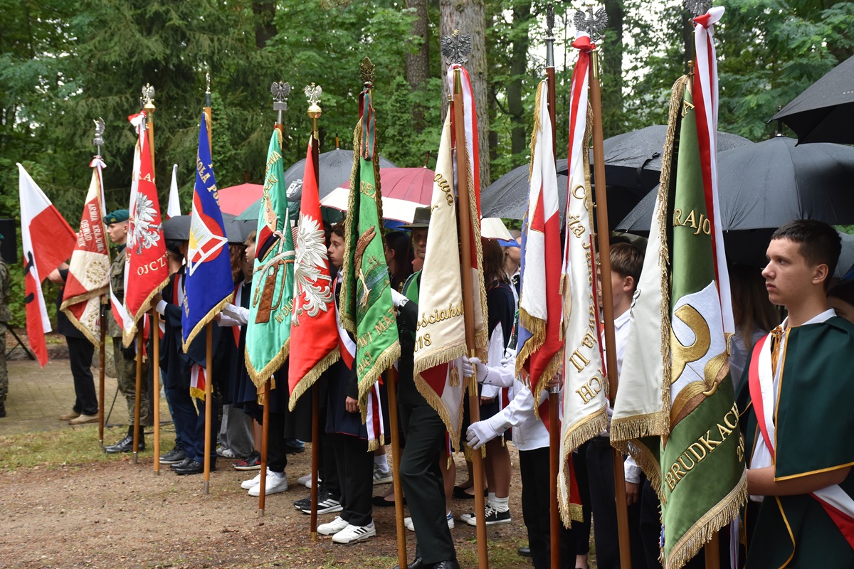 DSC_4532.JPG (485 KB)