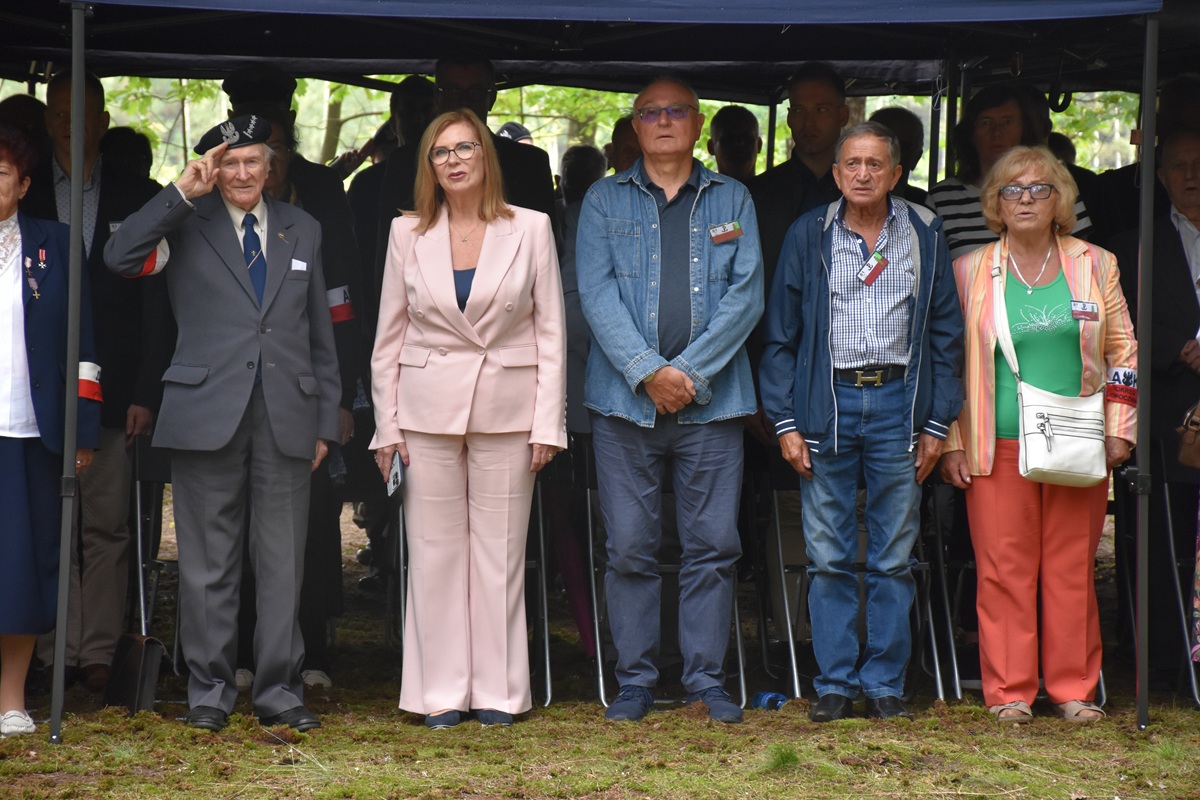 DSC_4575.JPG (355 KB)