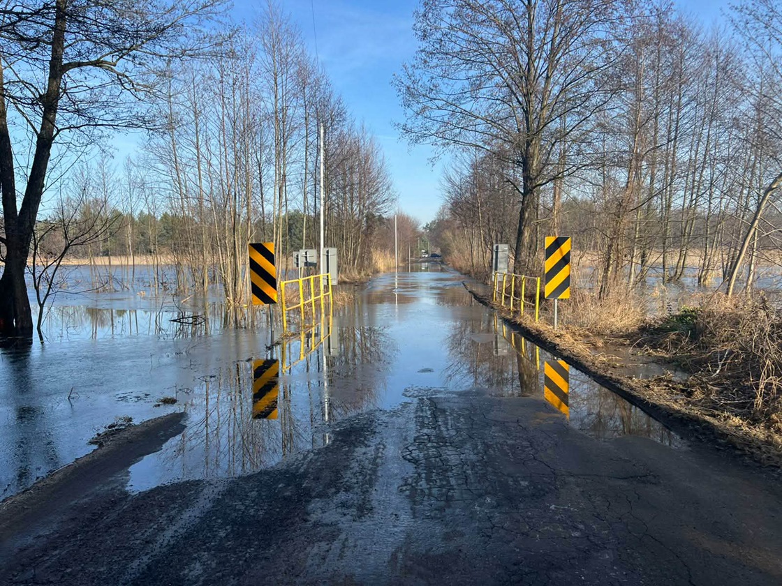 647322586_1353714033460673_1010403132305432024_n.jpg (491 KB)