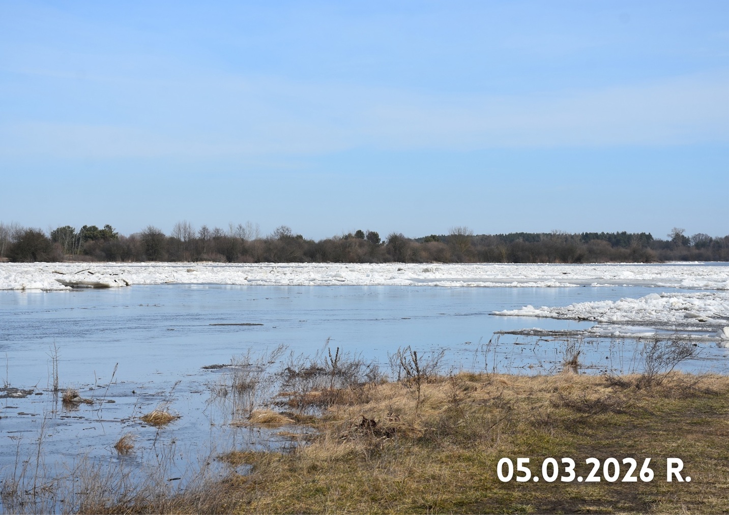 648293882_1353718136793596_4319019527372440189_n.jpg (421 KB)